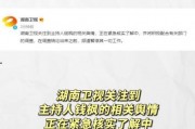 娱乐圈吃瓜文件叫什么